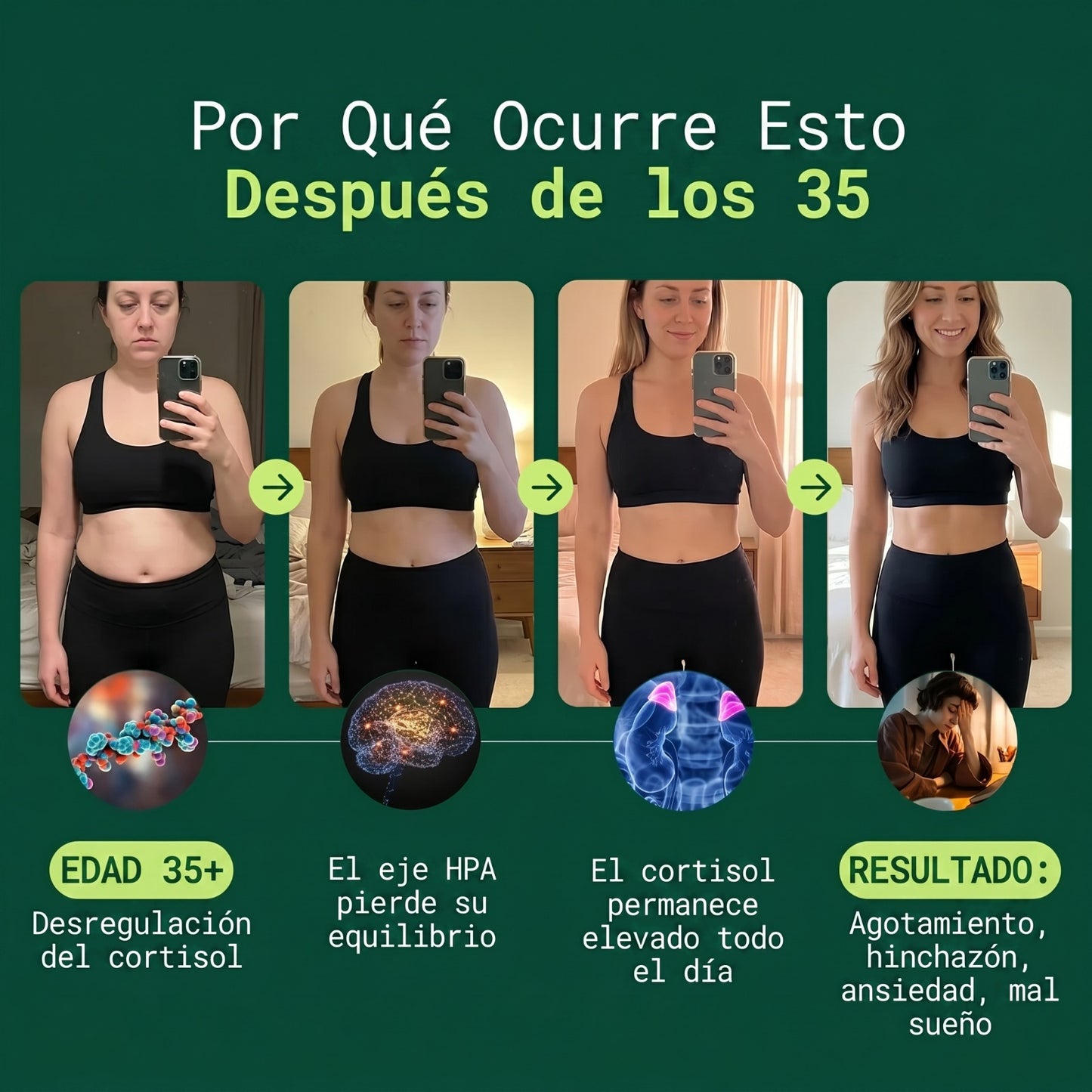 Rhodiola Rosea – Adaptógeno Natural Fabricado en ES