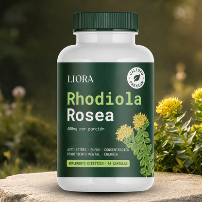 Rhodiola Rosea – Adaptógeno Natural Fabricado en ES
